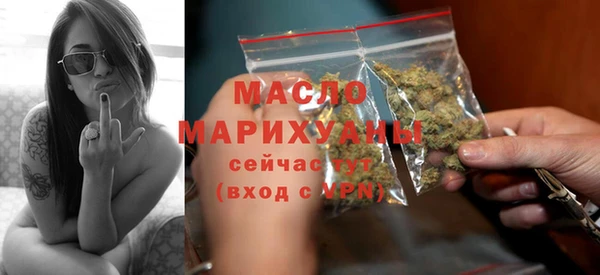 гашик Осинники