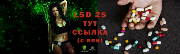 ECSTASY Остров