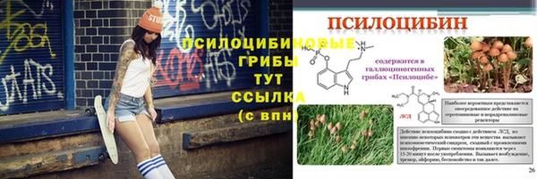 ECSTASY Остров