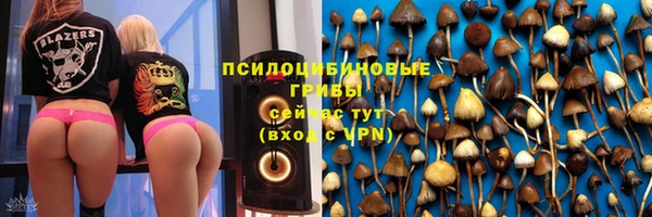 гашик Осинники