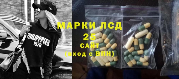 гашик Осинники