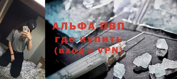 гашик Осинники