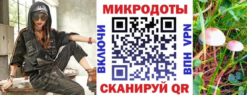 omg как зайти  Белоозёрский  Галлюциногенные грибы Cubensis 